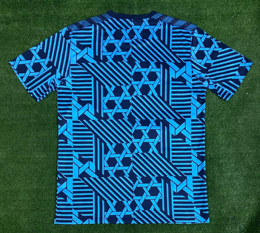 Denmark Training Clothing Fans Football Jersey 2023/2024