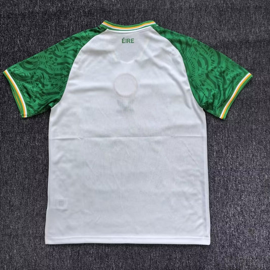 Celtic Special Edition Fans Football Jersey 2025/2026