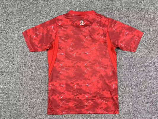Poland Away Fans Football Jersey 2026/2027