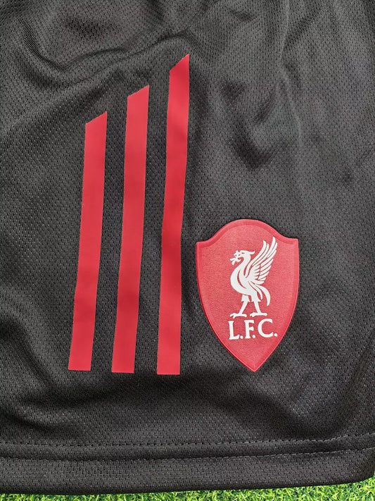 Liverpool Player Away Kids Football Jersey 2025/2026