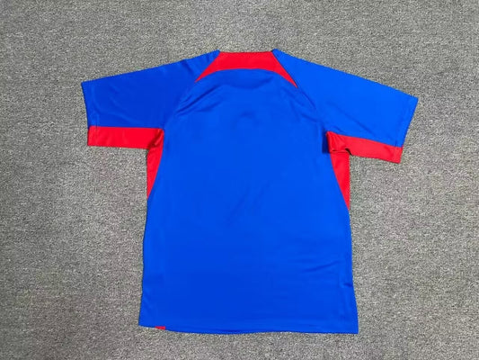 Slovakia Home Fans Football Jersey 2024/2025