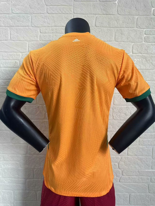 Ivory Coast Home Player Football Jersey 2024/2025