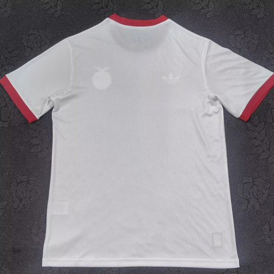 Benfica Anniversary Edition Fans Football Jersey 2025/2026