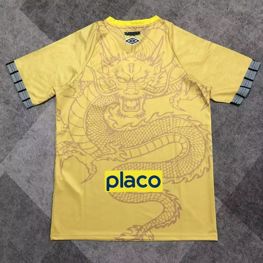 Santos Special Edition Fans Football Jersey 2025/2026