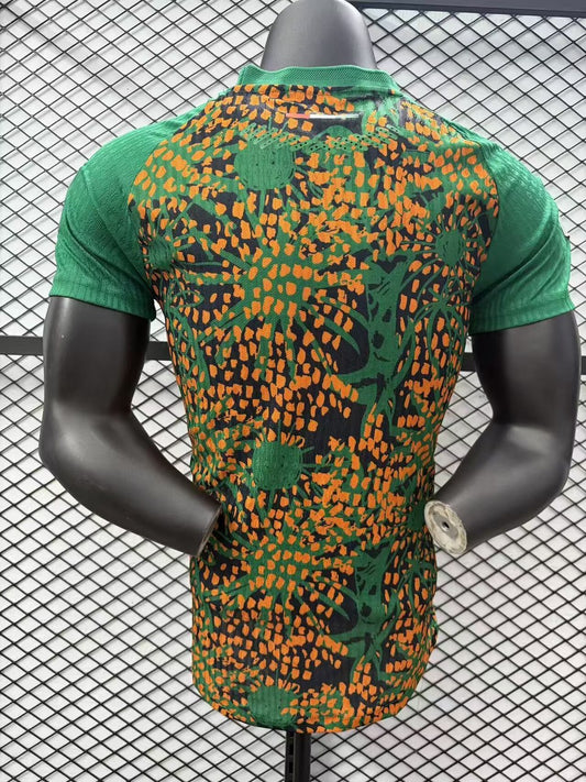 Ivory Coast Special Edition Player Football Jersey 2026/2027