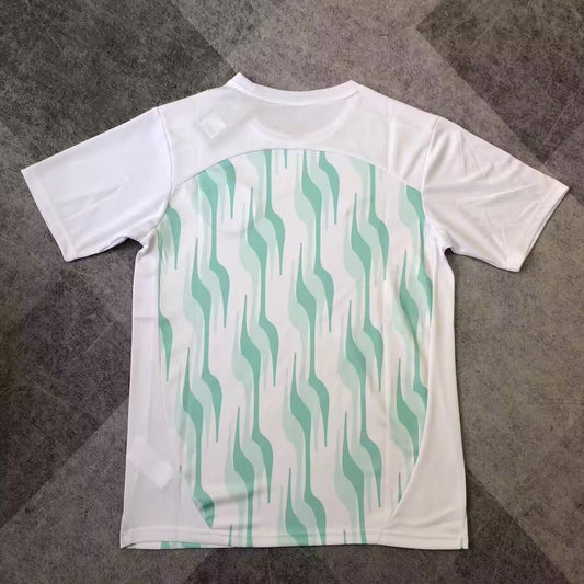 Palmeiras Training Fans Football Jersey 2025/2026