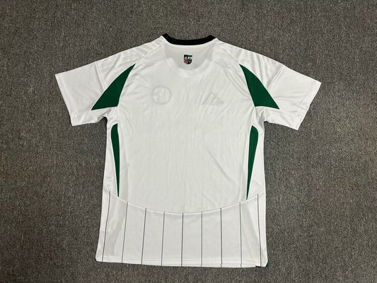 Schalke 04 Away Fans Football Jersey 2024/2025