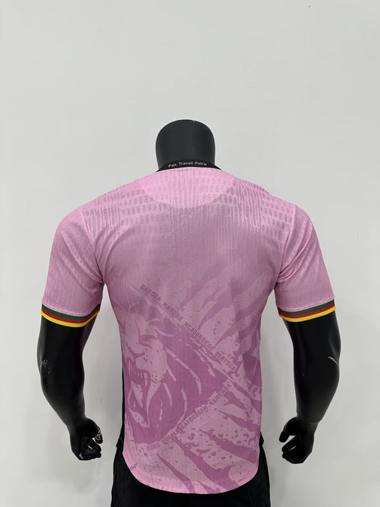 Cameroon Special Edition Player Pink Football Jersey 2025/2026