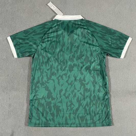 Palmeiras Special Edition Fans Football Jersey 2025/2026