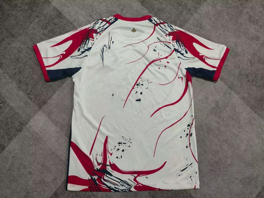 PSG Paris Special Edition Fans Football Jersey 2025/2026