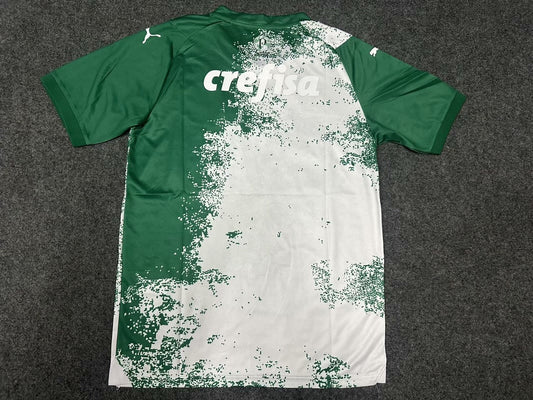 Palmeiras Special Edition Fans Football Jersey 2024/2025