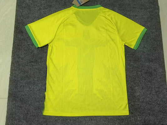Brazil Special Edition Fans Football Jersey 2025/2026