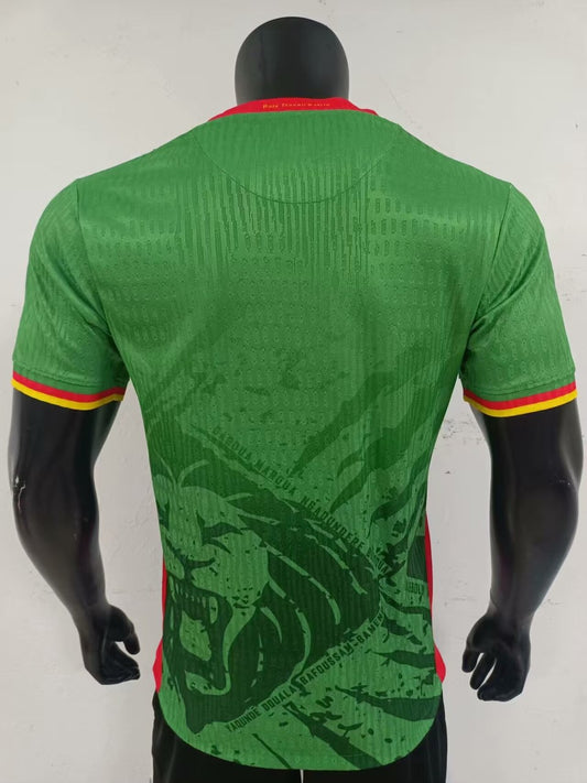 Cameroon Home Player Football Jersey 2025/2026