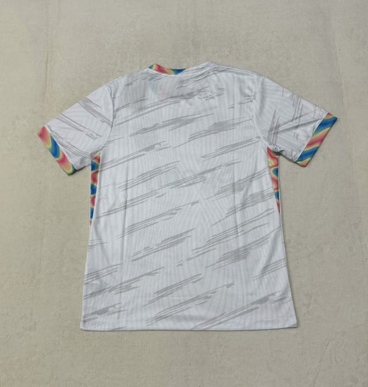 Barcelona Special Edition Fans Football Jersey 2025/2026
