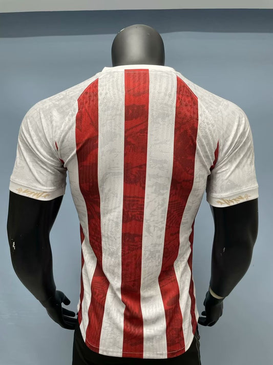 Barcelona Special Edition Fans Football Jersey 2025/2026