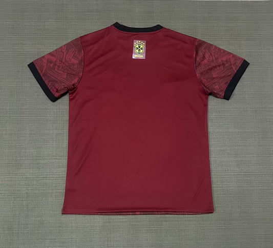 Brazil Special Edition Fans Football Jersey 2025/2026