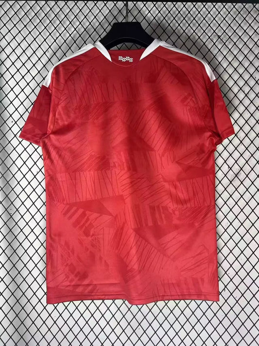 Benfica Special Edition Fans Football Jersey 2026/2027