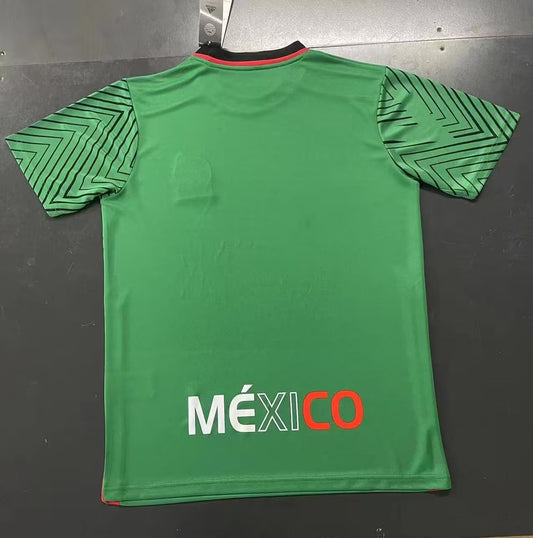 Mexico Training Clothing Green Fans Football Jersey 2023/2024