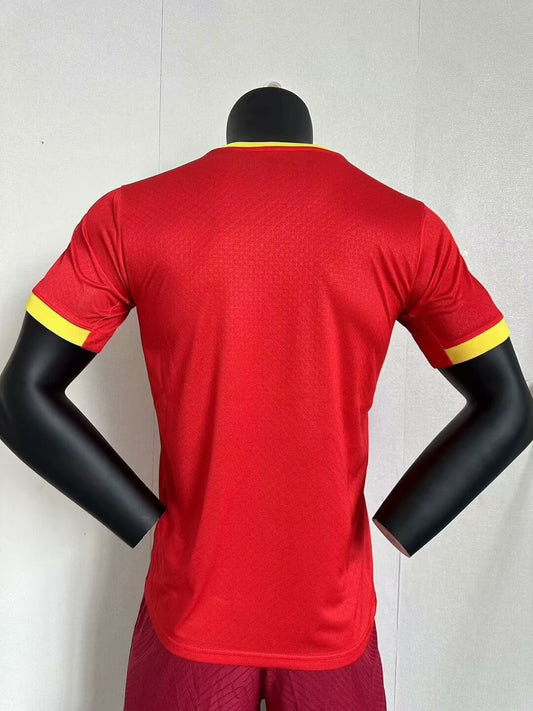 Guinea Away Player Football Jersey 2024/2025