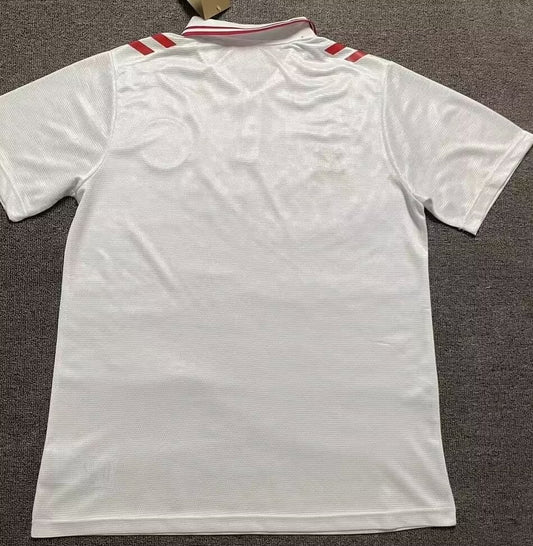 Denmark Away Fans Football Jersey 2024/2025