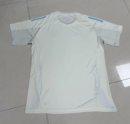 Cruzeiro Training Clothes Fans Football Jersey 2024/2025