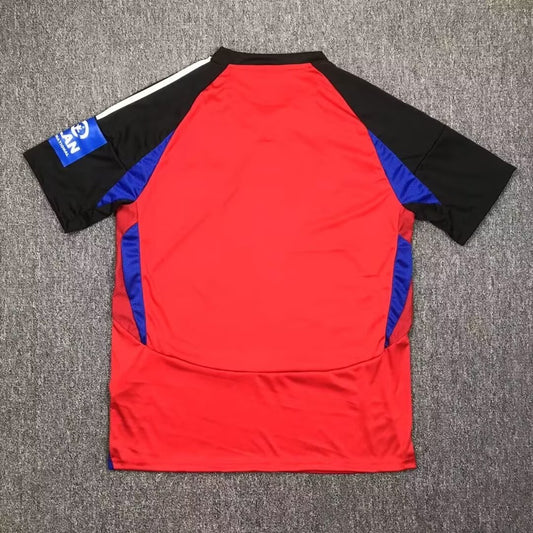 Hamburger SV Third Away Fans Football Jersey 2024/2025