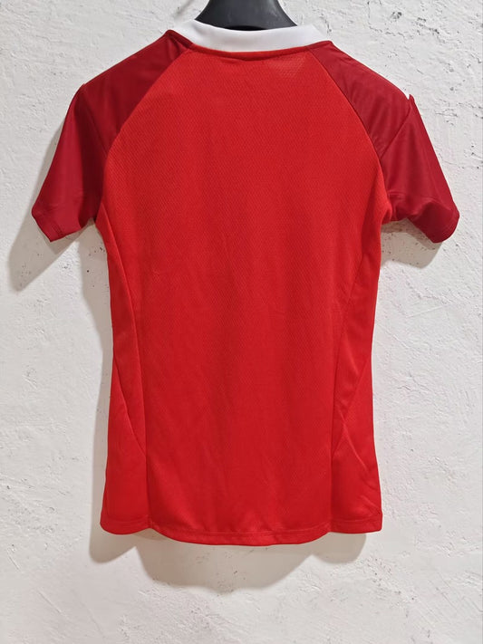 Flamengo Special Editio Fans Pink Football Jersey 2025/2026