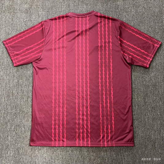 Arsenal Special Edition Fans Football Jersey 2025/2026