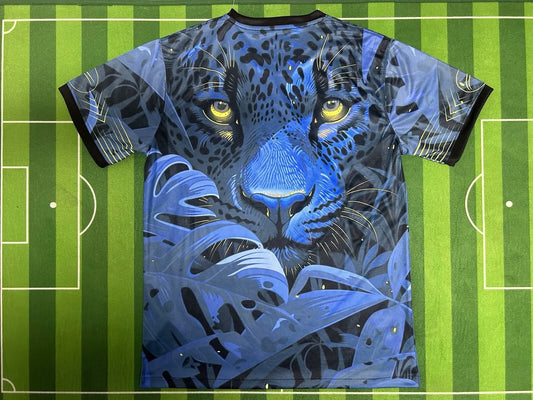 Brazil Special Edition Fans Football Jersey 2024/2025