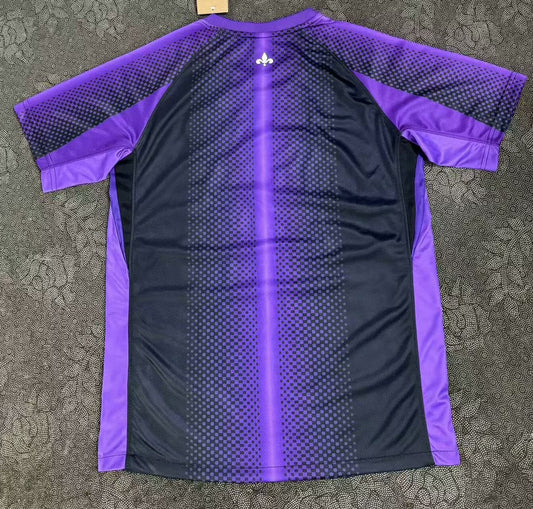 PSG Paris Special Edition Purple Fans Football Jersey 2025/2026