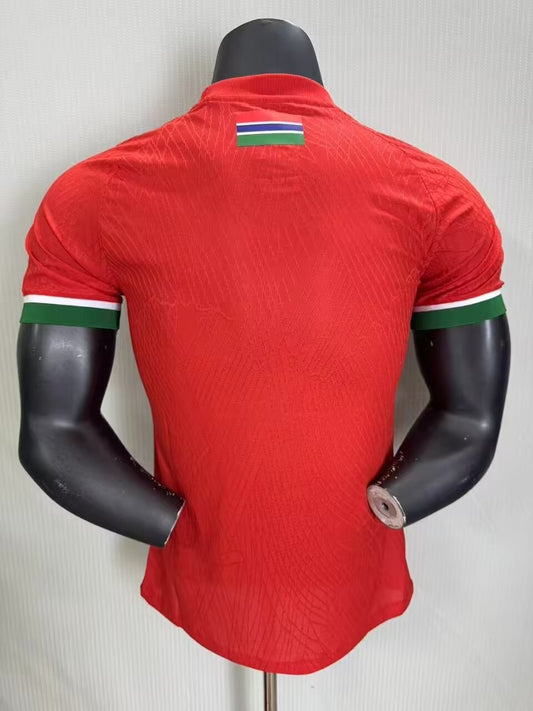 Gambia Away Player Football Jersey 2026/2027