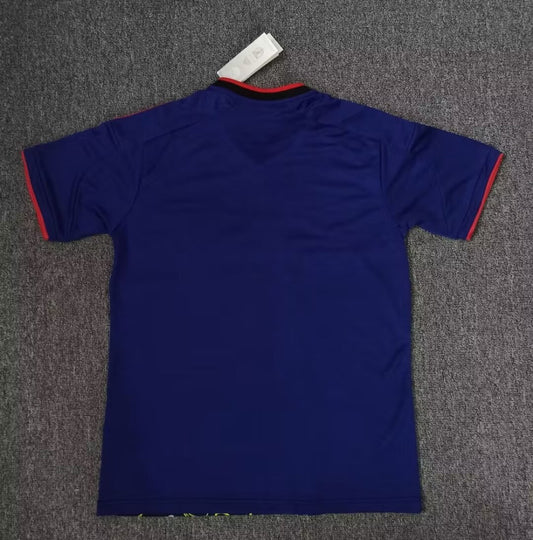 Japan Special Edition Fans Football Jersey 2024/2025