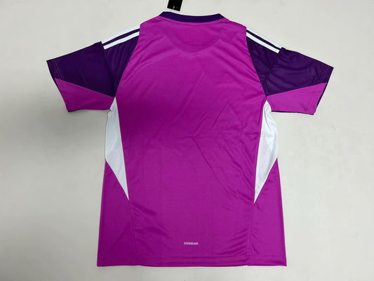 Chivas (Guadalajara ) Goalkeeper Fans Football Jersey 2025/2026