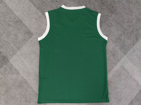 Palmeiras Home Vest Fans Football Jersey 2025/2026