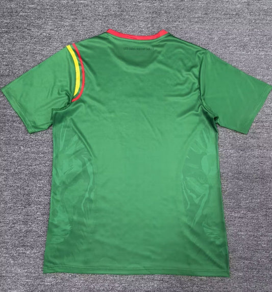 Cameroon Home Fans Football Jersey 2024/2025