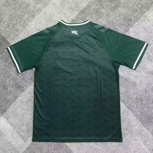 SV Werder Bremen Special Edition Fans Football Jersey 2025/2026