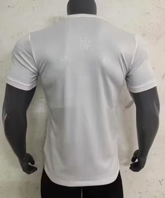 Chelsea Special Edition Fans Football Jersey 2024/2025