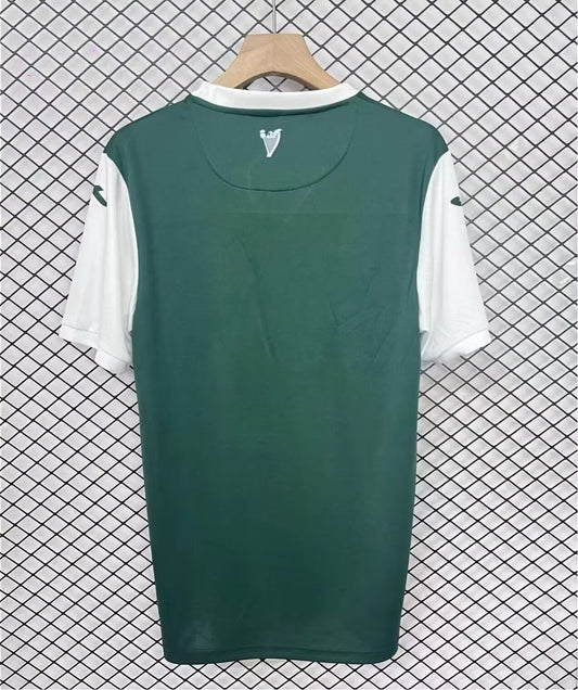 Hibernian Home Fans Football Jersey 2025/2026