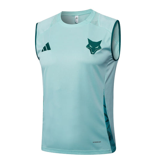 Cruzeiro Training Vest Fans Football Jersey 2024/2025