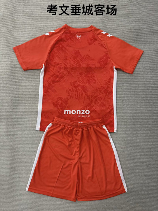 Coventry City Away (Kids And Men ) Football Jersey 2025/2026