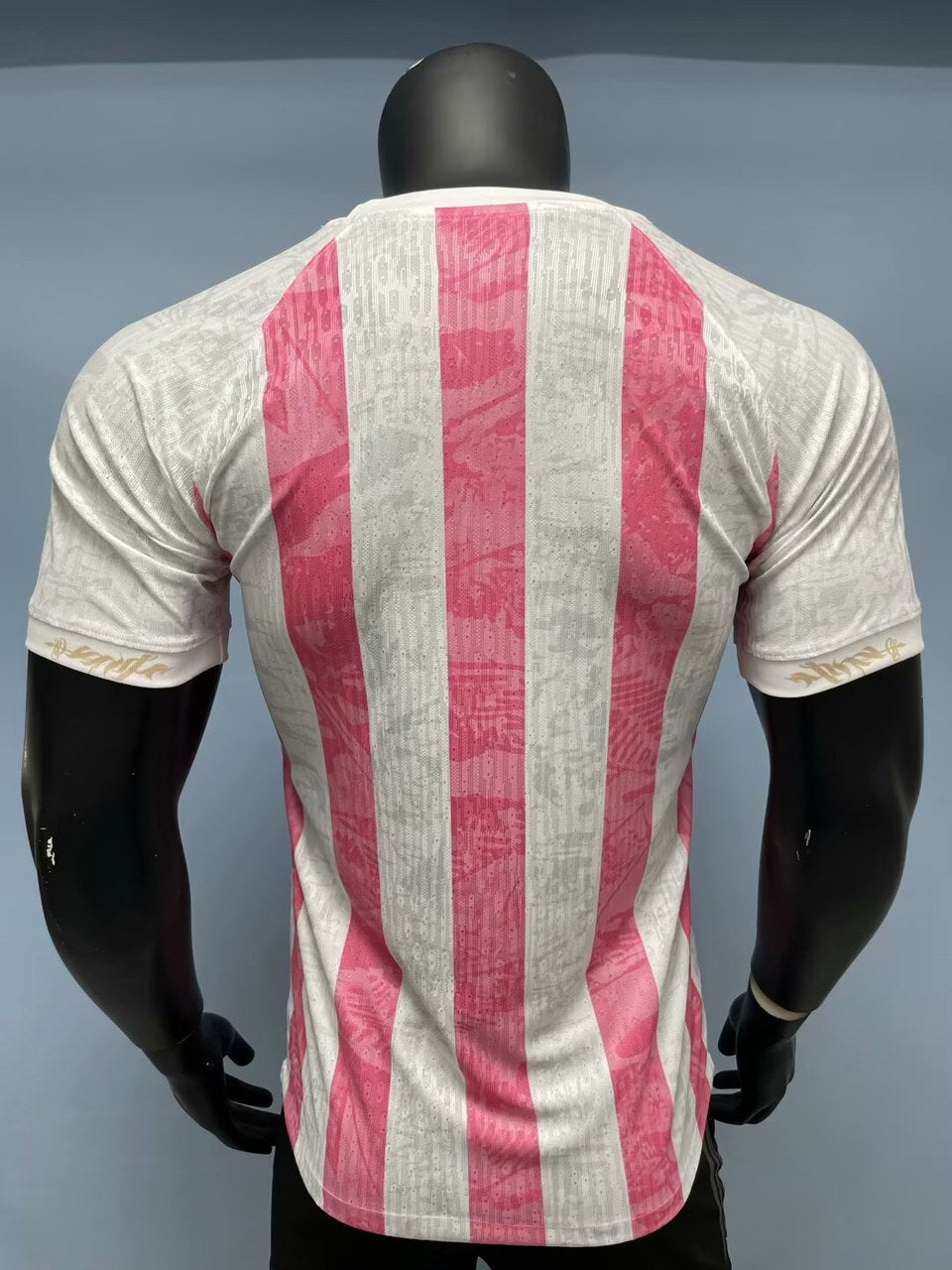 Barcelona Special Edition Fans Football Jersey 2025/2026