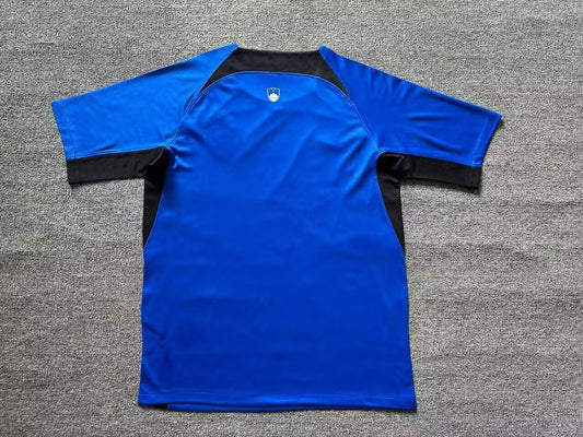 Slovenia Home Fans Football Jersey 2024/2025