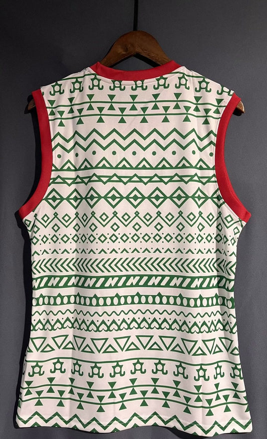 Nigeria Special Edition Vest Fans Football Jersey 2023/2024