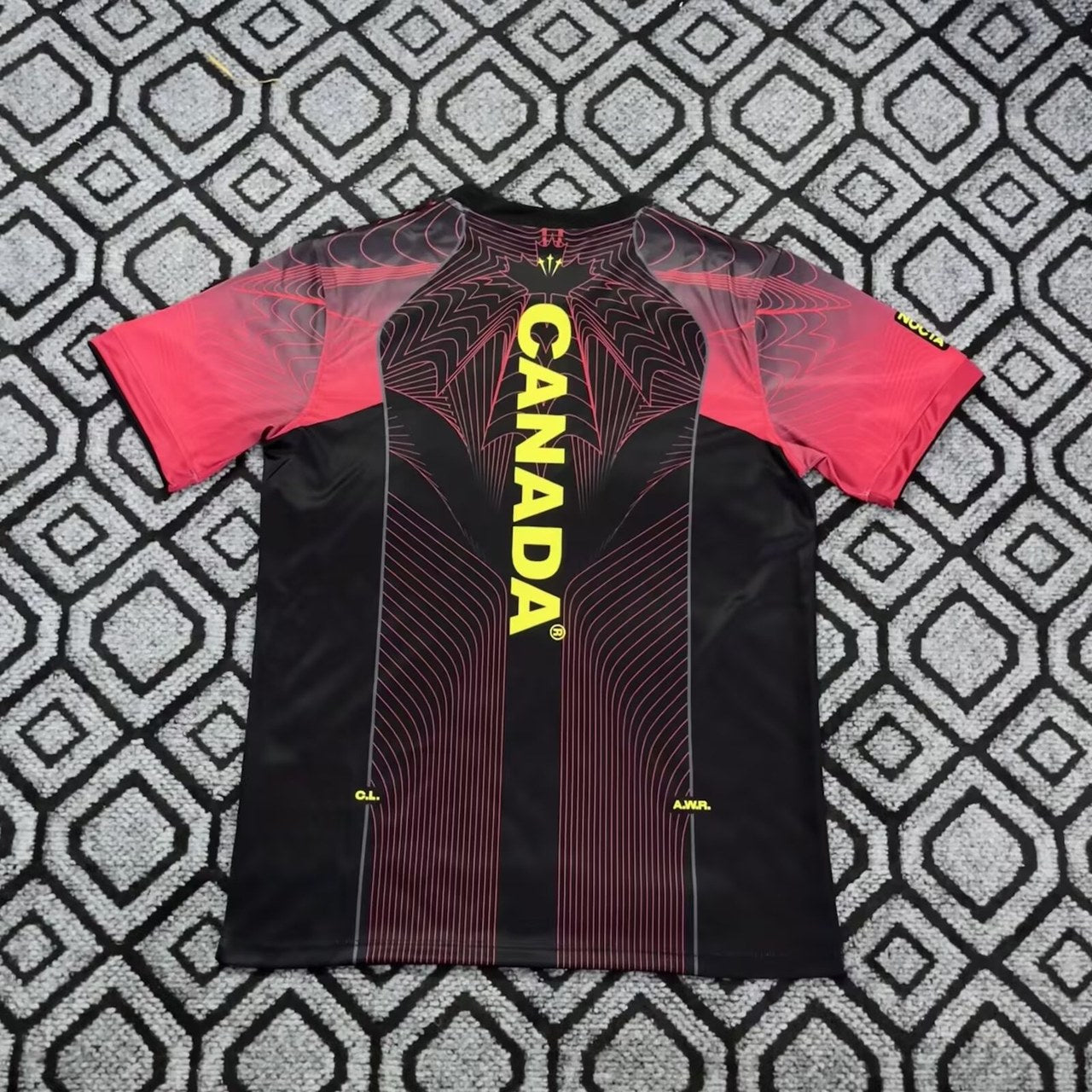 Canada Training Fans Football Jersey 2026/2027