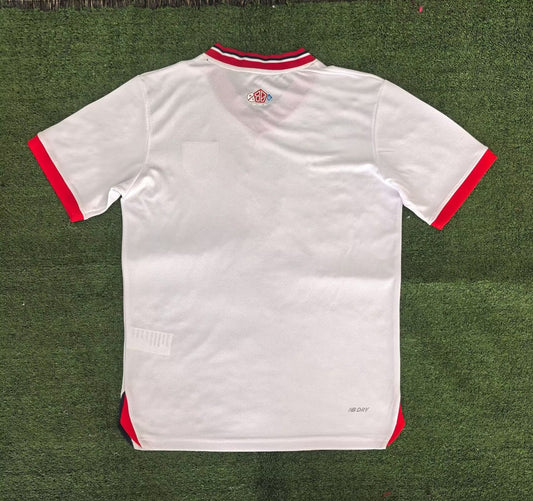 Lille(LOSC) Special Edition Fans Football Jersey 2024/2025