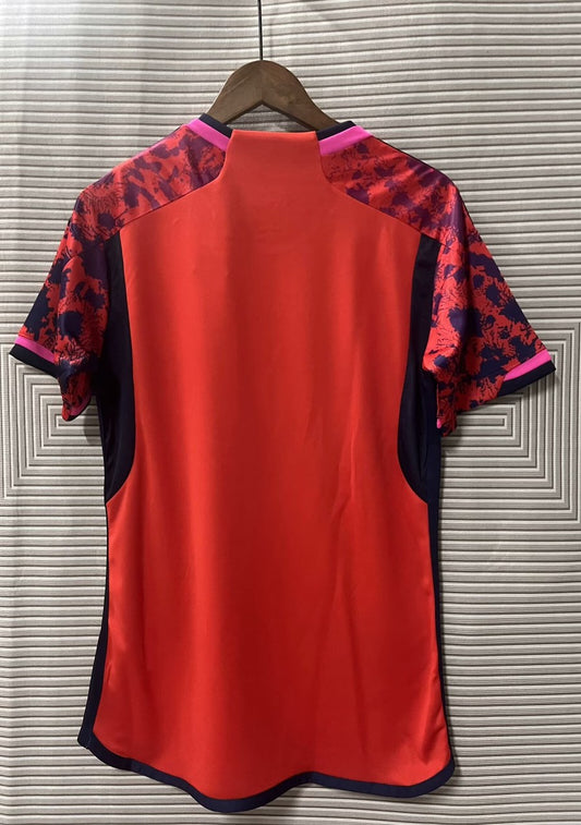 Spain Special Edition Fans Football Jersey 2024/2025