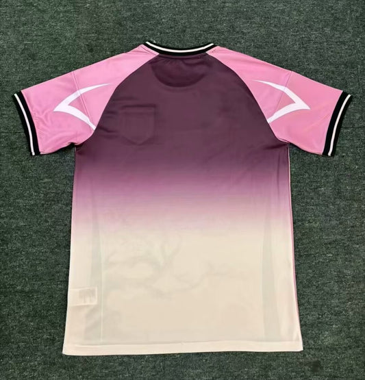 Japan Special Edition Purple Cherry Blossoms Fans Football Jersey 2025/2026