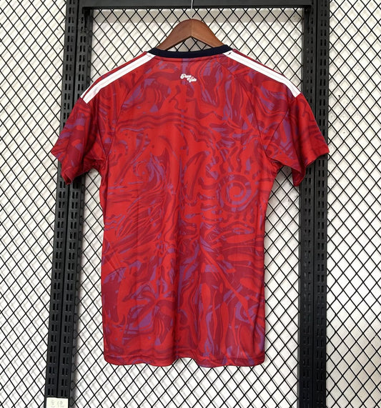 Costa Rica Home Fans Football Jersey 2026/2027