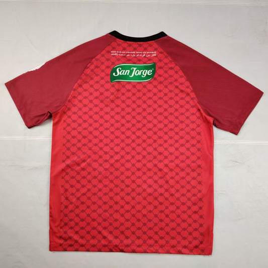 Palestine Special Edition Fans Football Jersey 2025/2026