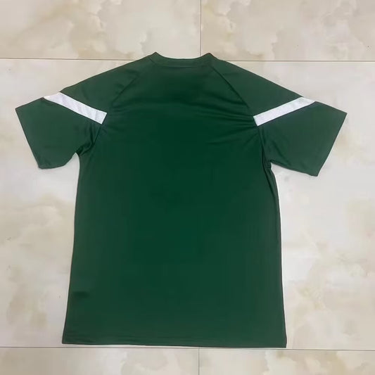 Palmeiras Training Clothing Green Fans Football Jersey 2023/2024